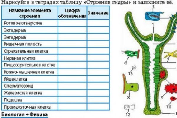 Кракен актуальное зеркало 2kmp