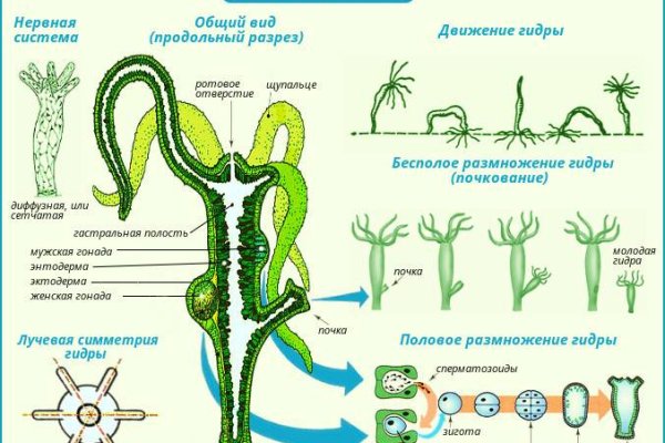 Как зайти на kraken в 2024