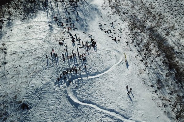 Кракен телегрф